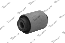 TENACITY AAMHO1008