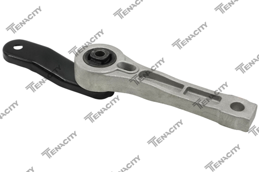 TENACITY AWSAU1004 1K0199855K