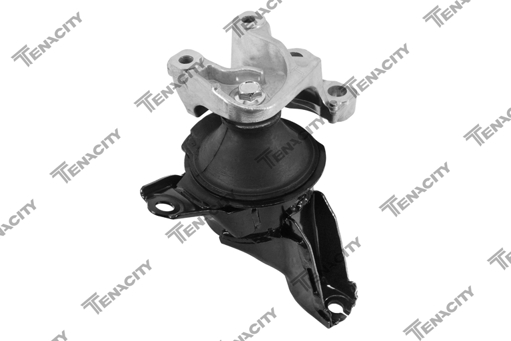 TENACITY AWSHO1160 50820T0AA01,50820-T0A-A01,50820T0TH01,50820-T0T-H01