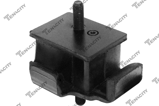 TENACITY AWSHY1194 218125H000,21812-5H000,218125H001,21812-5H001