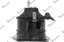 TENACITY AWSHO1072 50810SDAA02,50810-SDA-A02,50810SDAA03,50810-SDA-A03,50810SDAA12,50810-SDA-A12,50810SDAE01,50810-SDA-E01,50810SJAA01,50810-SJA-A01,50810SJAE01,50810-SJA-E01,7207-H,7207-H-DAI,9194,9194-ANC,A4516,A4516-DEA,EM9194,EM-9194,EM-9194-WES,EM9194-WES